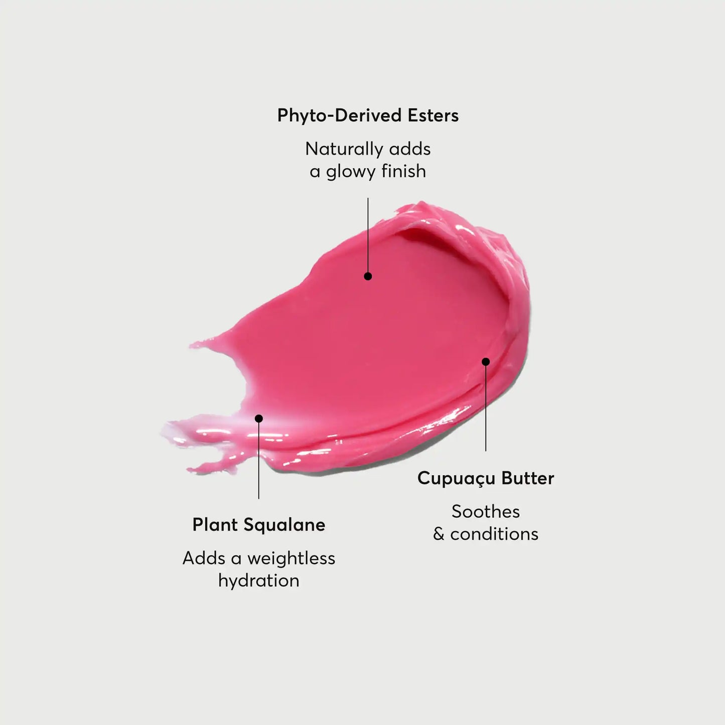 phyto-glow-lip-balm-camellia-o1 NATR-60075-Alt-Images-Phyto-Glow-Lip-Balm-Camellia-01.webp